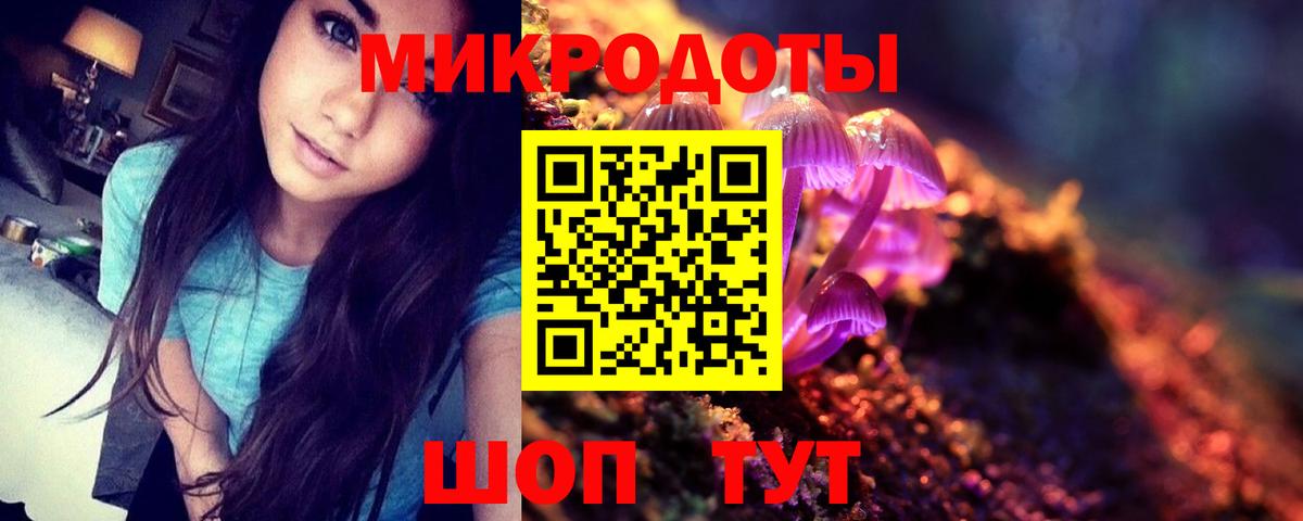 Мыски  Псилоцибиновые грибы Psilocybine cubensis  Вход с VPN 