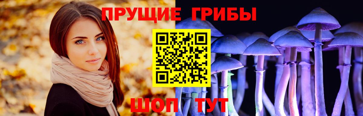 Галлюциногенные грибы Psilocybe Мыски
